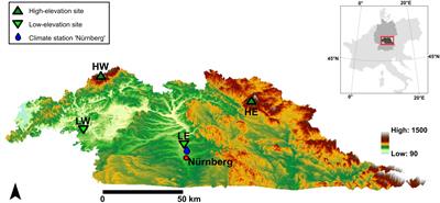 Assessing intra-annual growth dynamics in climatically contrasting years, sites, and tree species using dendrometers and wood anatomical data